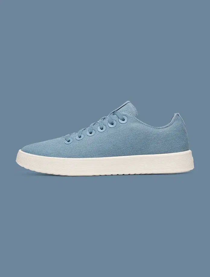 A blue Allbirds shoe shown in profile against a muted blue background.